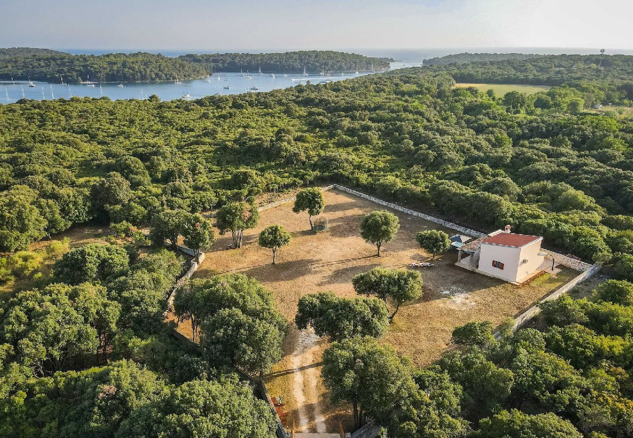 Ferienhaus in Pješčana uvala - Naturoase, Whirlpool, Fahrräder - Casa Vala Romana