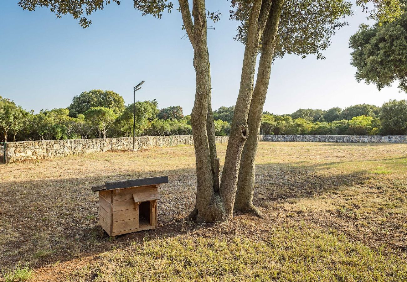 Ferienhaus in Pješčana uvala - Naturoase, Whirlpool, Fahrräder - Casa Vala Romana