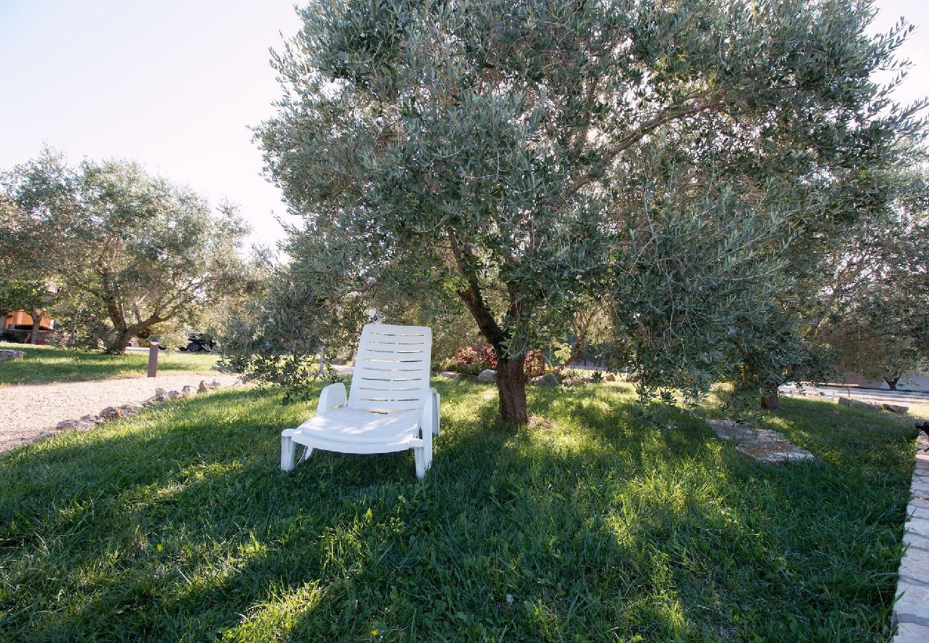 Ferienwohnung in Fažana - Marceta Apartment 1 - Pool und großer Garten