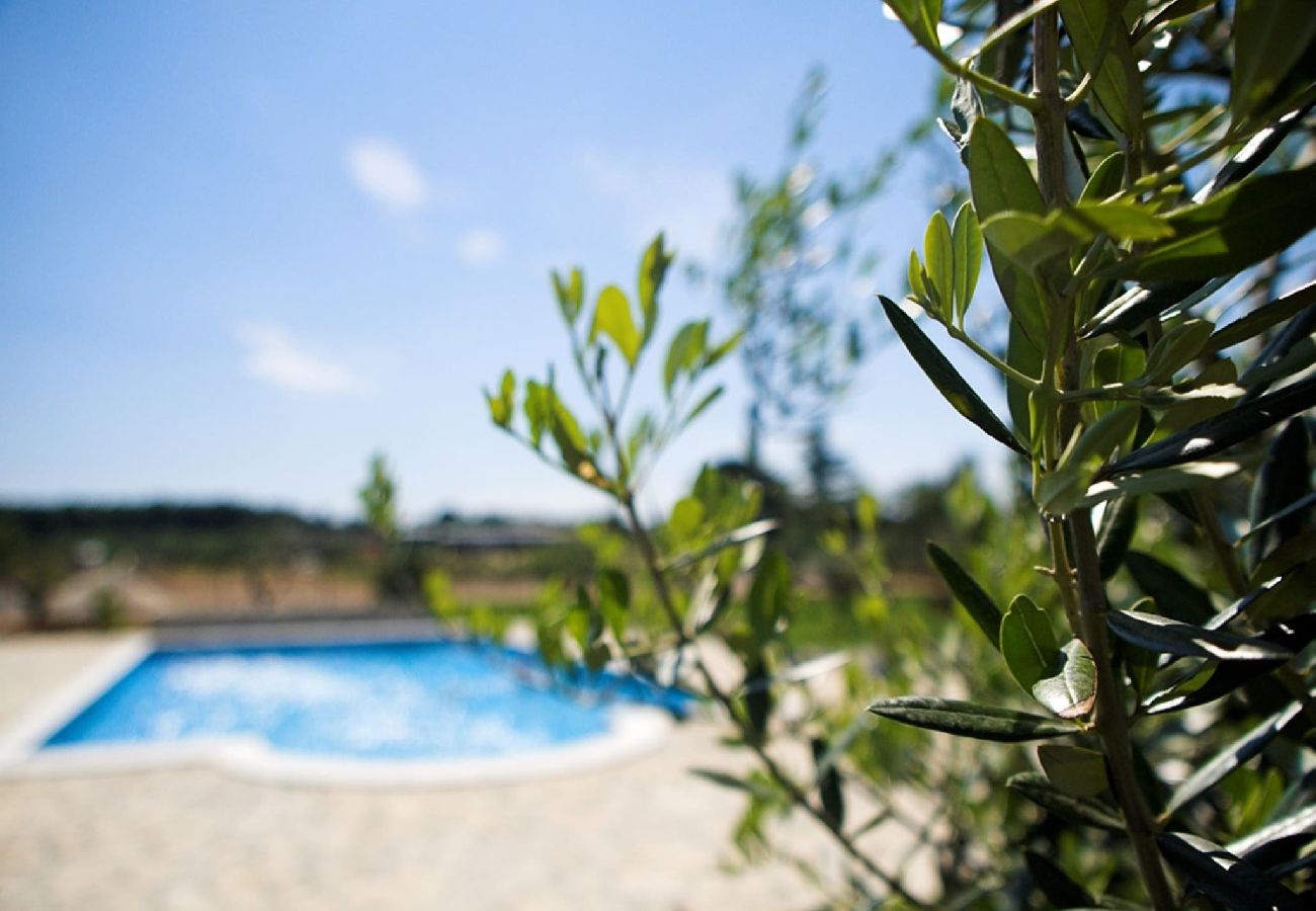 Zimmeranmietung in Fažana - Doppelzimmer Marceta - Pool und großer Garten