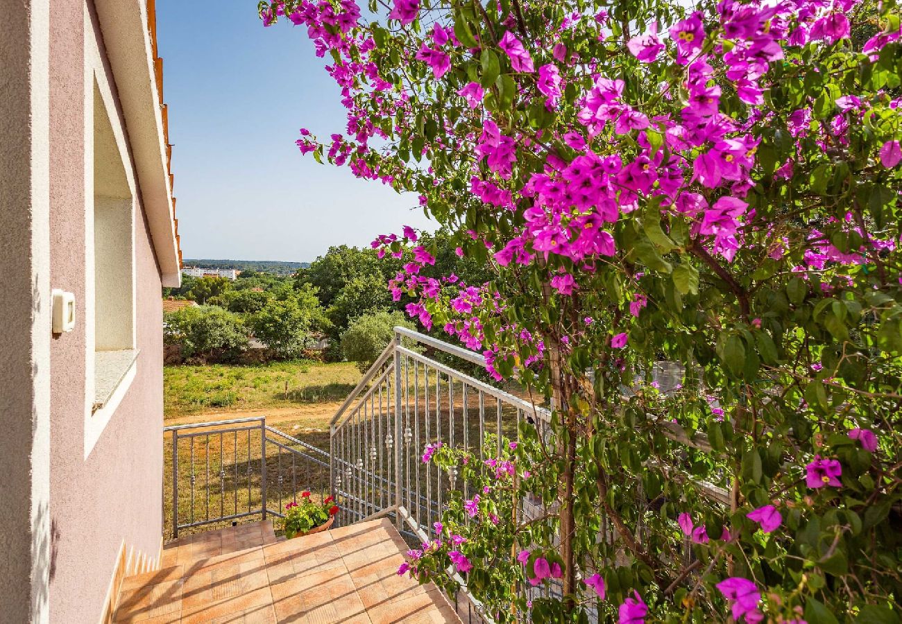 Ferienhaus in Medulin - Holiday Home Tatjana with Sea View, Big Garden and BBQ 