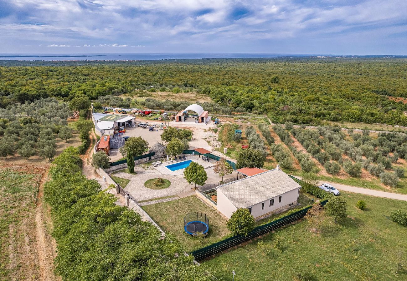 Villa in Vodnjan - Villa San Antonio mit privatem Pool