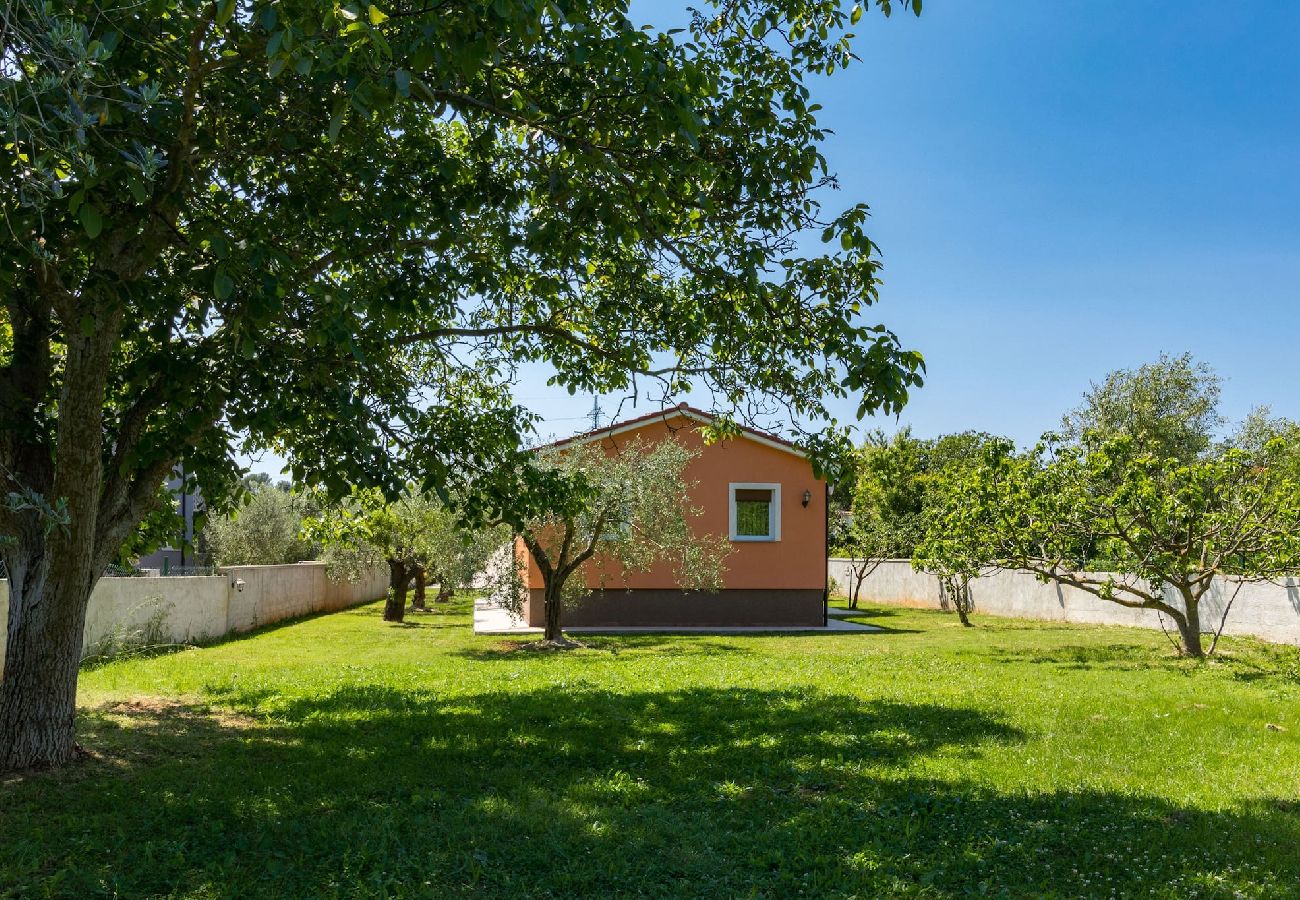 Ferienhaus in Pula - Ferienhaus Dolinka mit privatem Pool