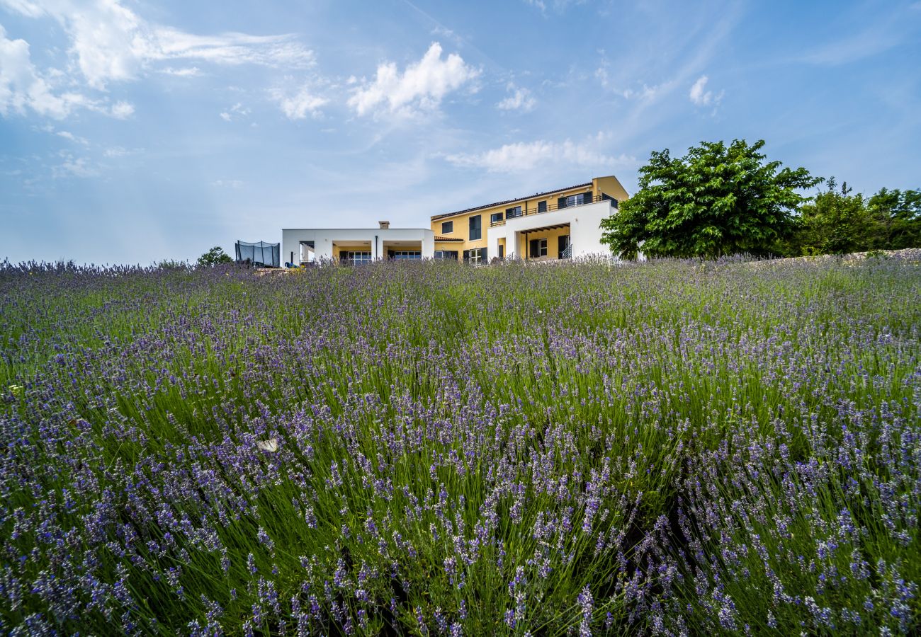 Villa in Filipana - Spiralgarten, Lavendelfelder, Pool - Arkaim