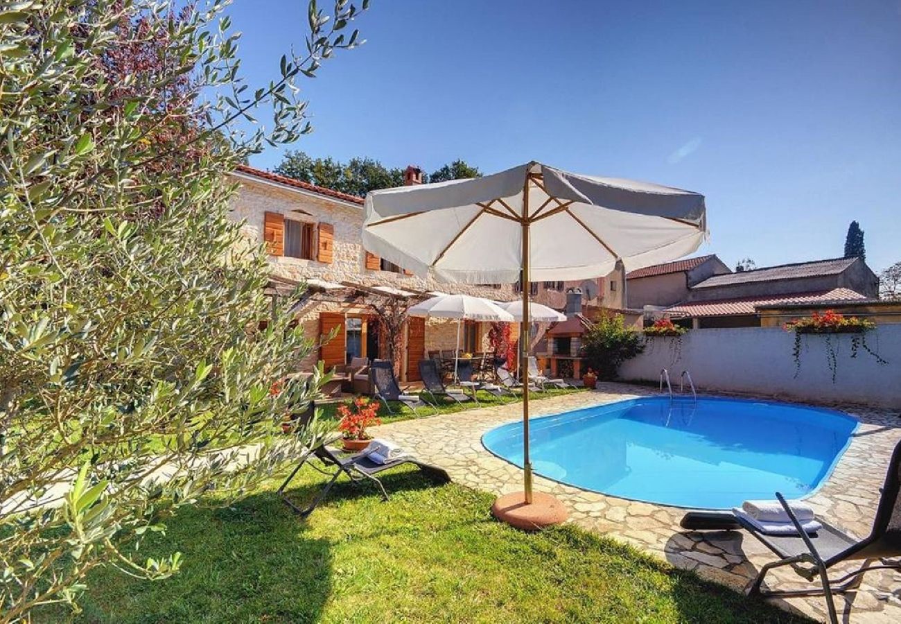 Villa in Žminj - Villa Katherine with Pool and Game Room 