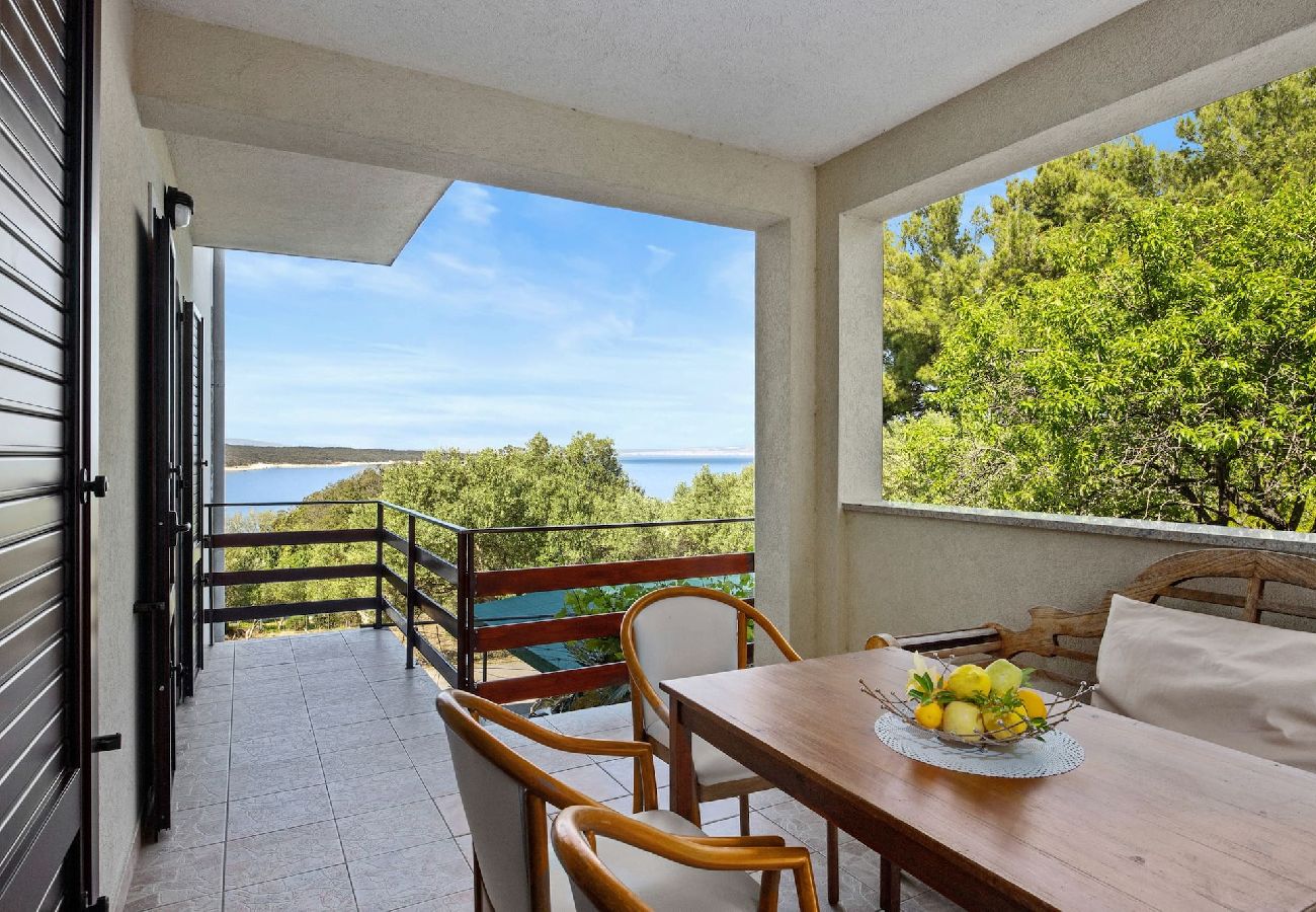 Ferienwohnung in Supetarska Draga - Anamar-Apartment mit drei Schlafzimmern.Meerblick