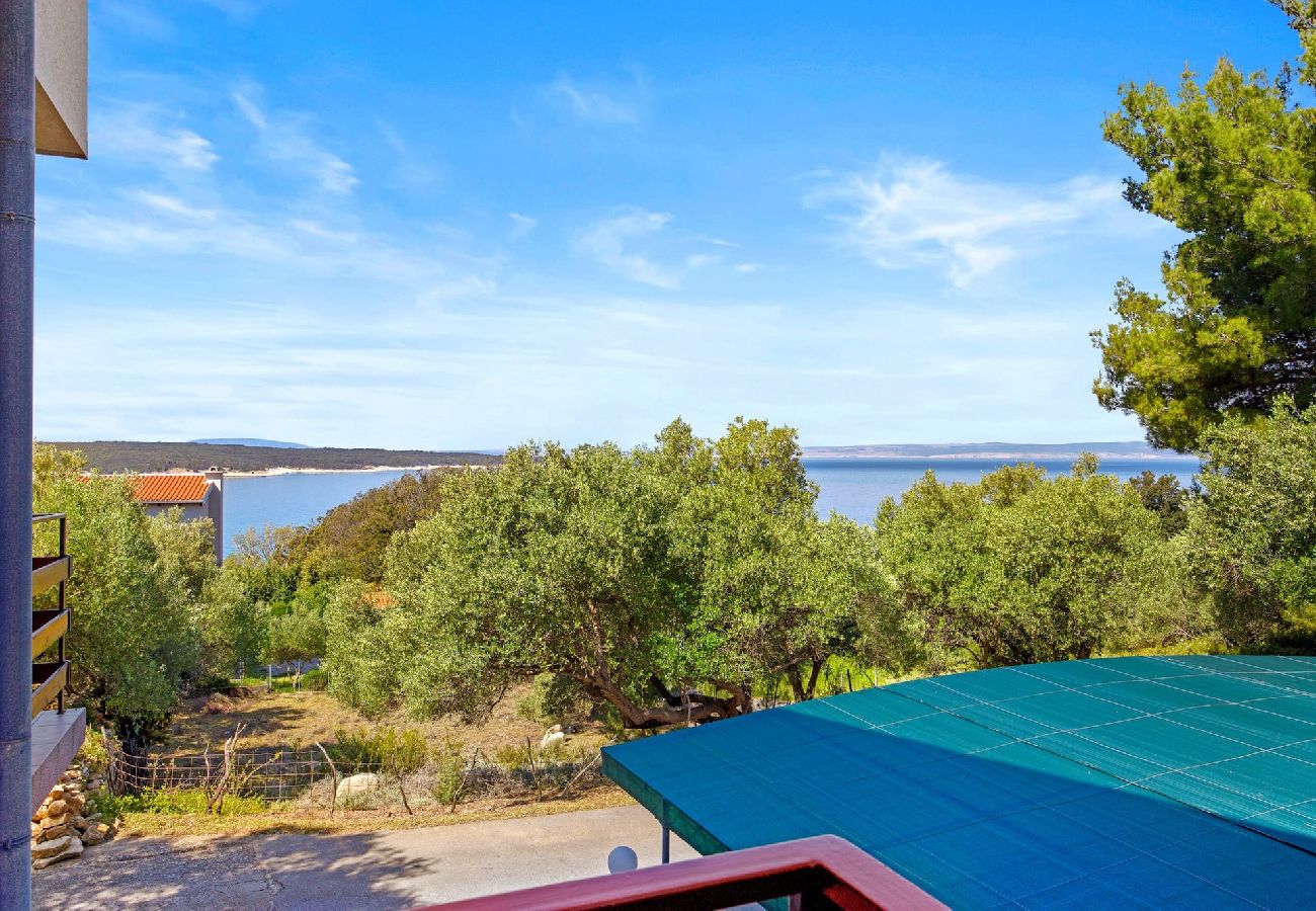 Ferienwohnung in Supetarska Draga - Anamar-Apartment mit drei Schlafzimmern.Meerblick