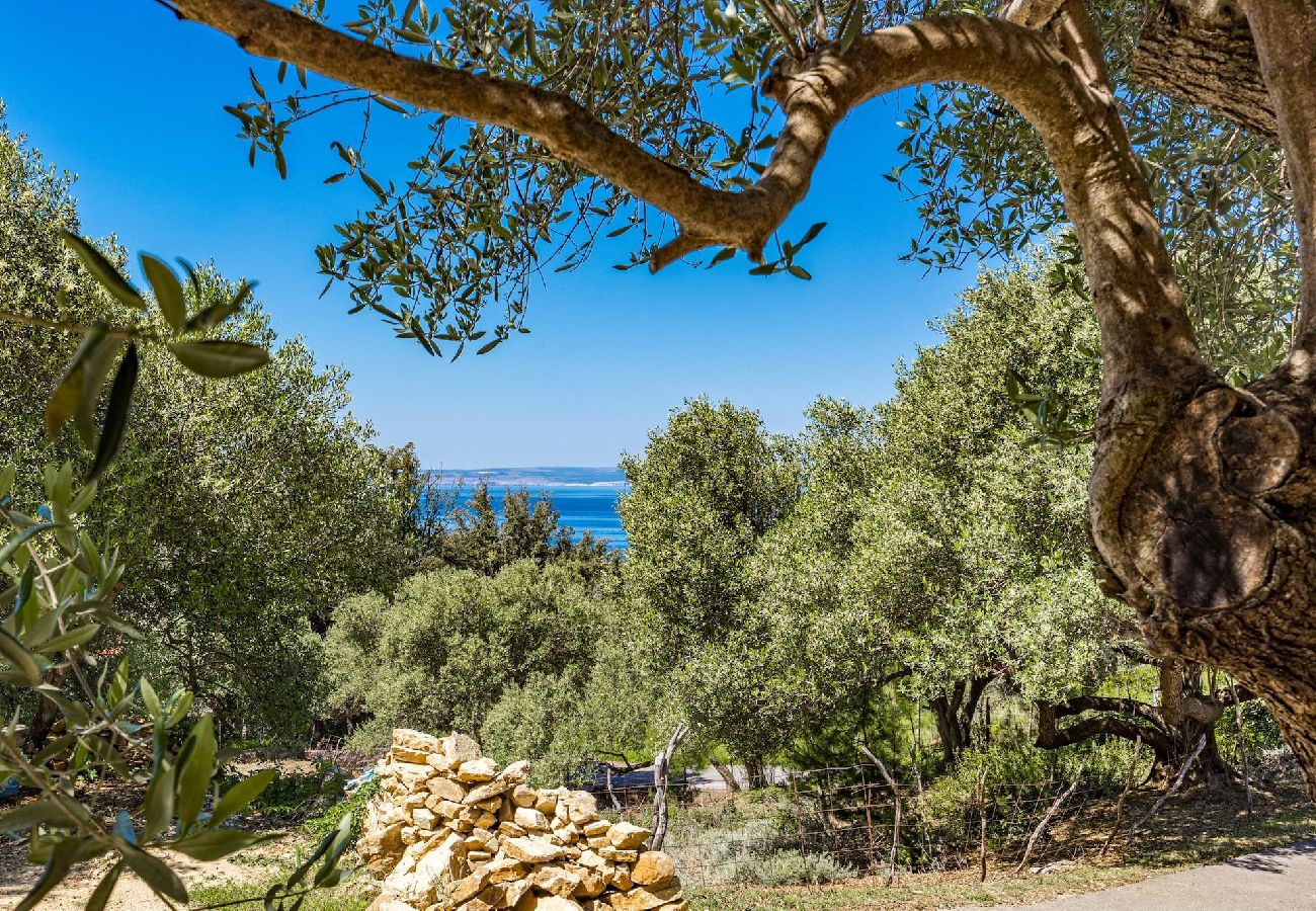 Ferienwohnung in Supetarska Draga - Anamar-Apartment mit drei Schlafzimmern.Meerblick