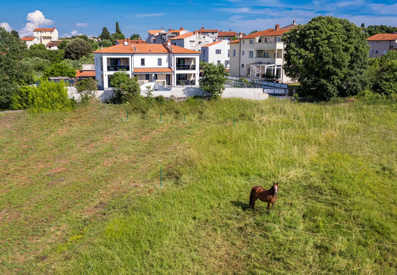 Villa in Štinjan - Villa Antares