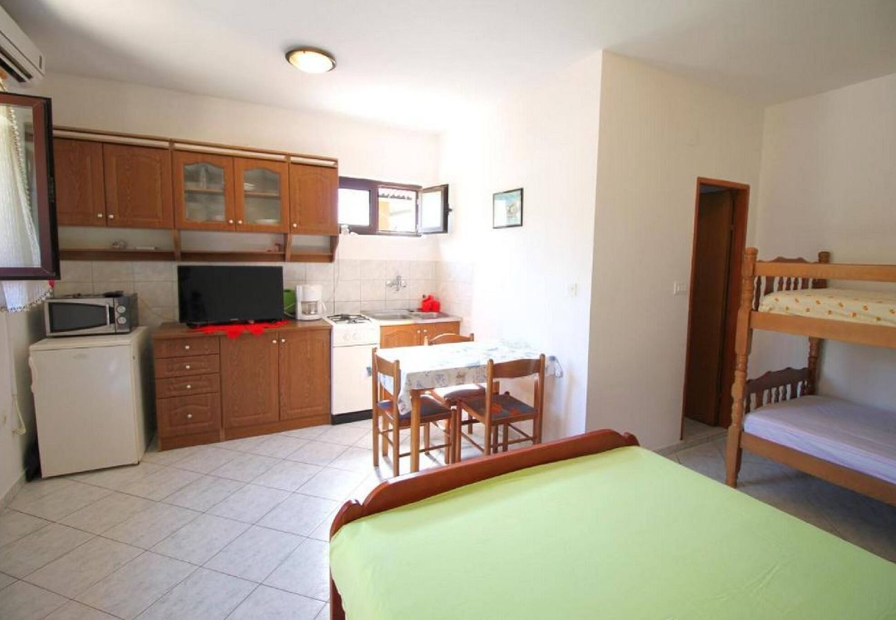 Studio in Dinjiška - Apartments Dubravica - Studio Apartment