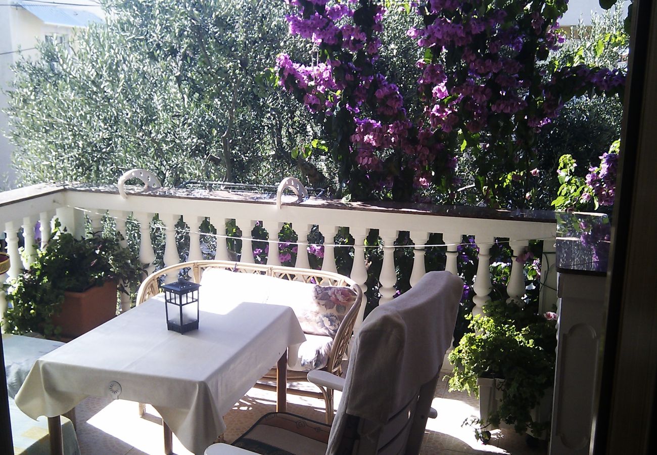 Ferienwohnung in Vodice - Apartments Gojevic - two bedroom apartment with a garden view A2