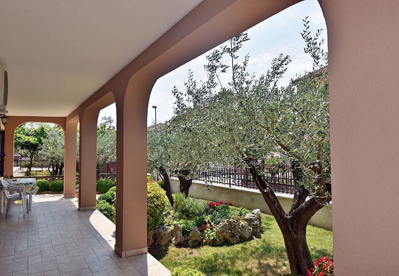 Apartment in Pula - Apartment Denis with Terrace & Lovely Garden 