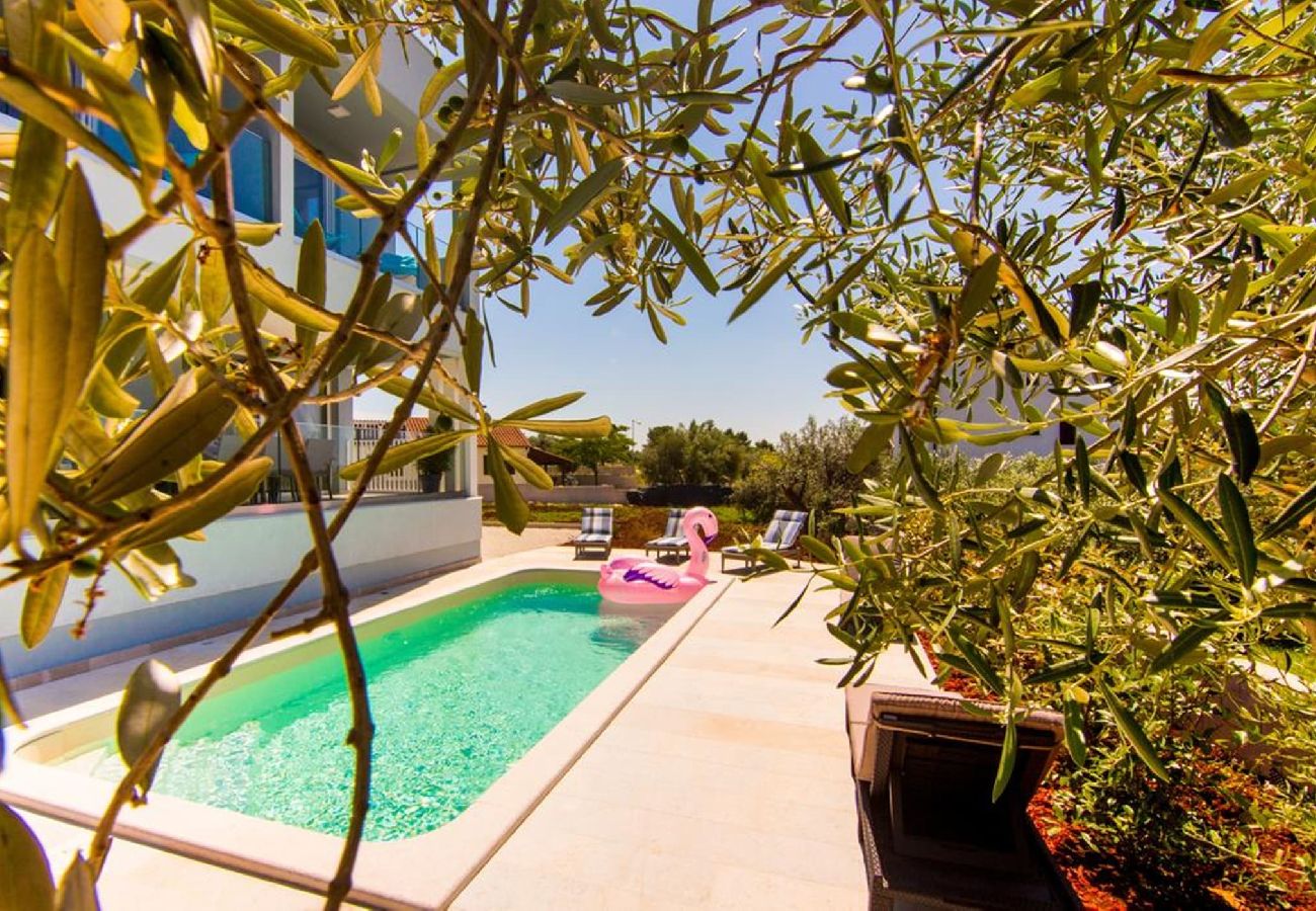 Villa in Fažana - Villa with Pool and Sea View in Fazana - Horizont 