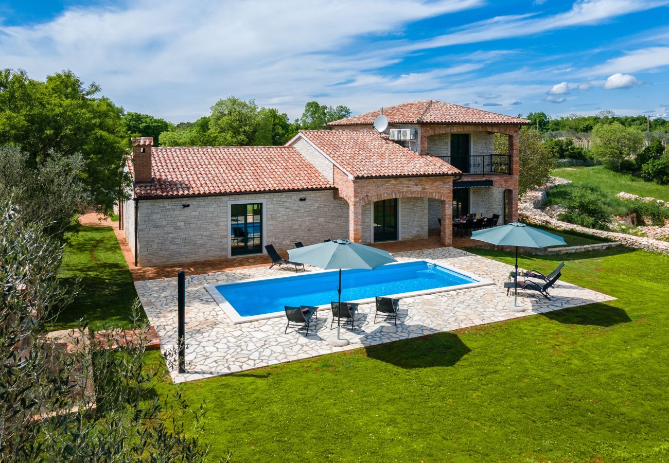 Villa in Vodnjan - Villa Boris with Private Pool 