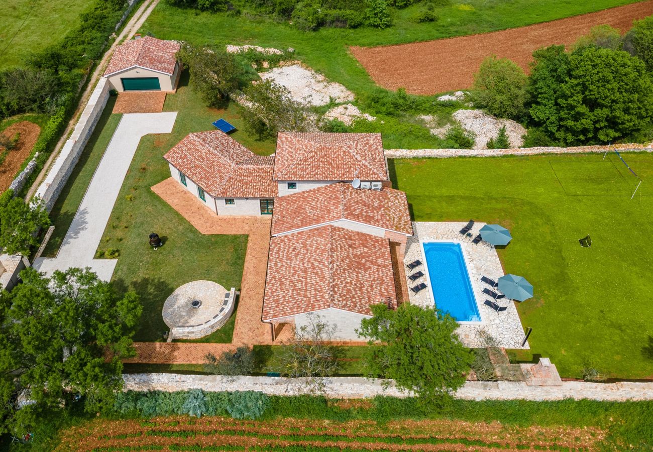 Villa in Vodnjan - Villa Boris with Private Pool 